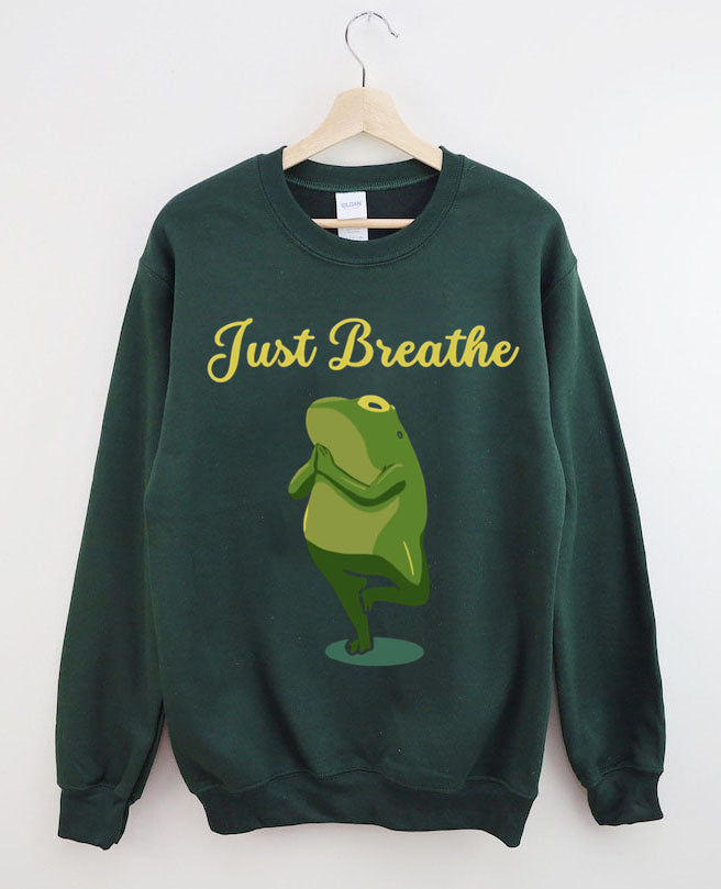 Funny Frog Yoga Gift Meditation Pilates Yoga Sweatshirt